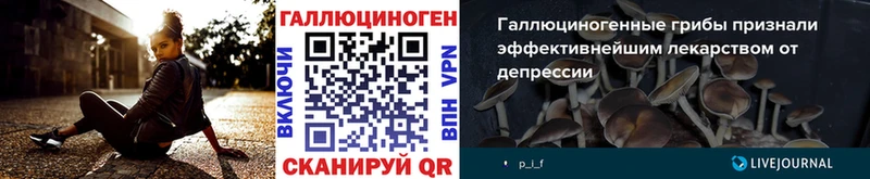 цена   OMG вход  Псилоцибиновые грибы ЛСД  darknet Telegram  Чёрмоз 